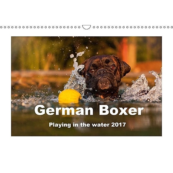 German Boxer / UK-Version (Wall Calendar 2017 DIN A3 Landscape), Kerstin Mielke