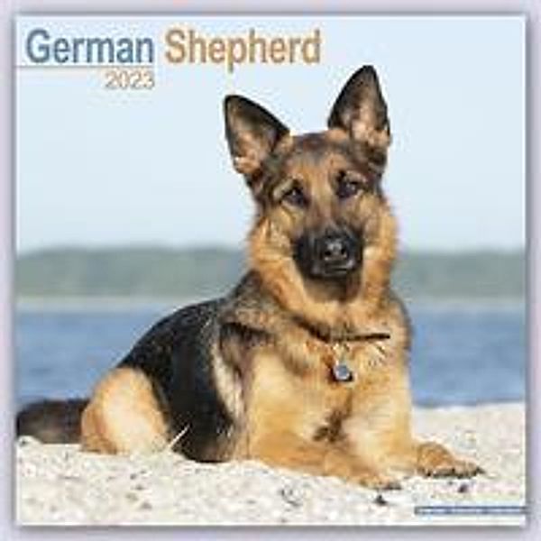 German Shepherd - Deutsche Schäferhunde 2023 - 16-Monatskalender, Avonside Publishing Ltd