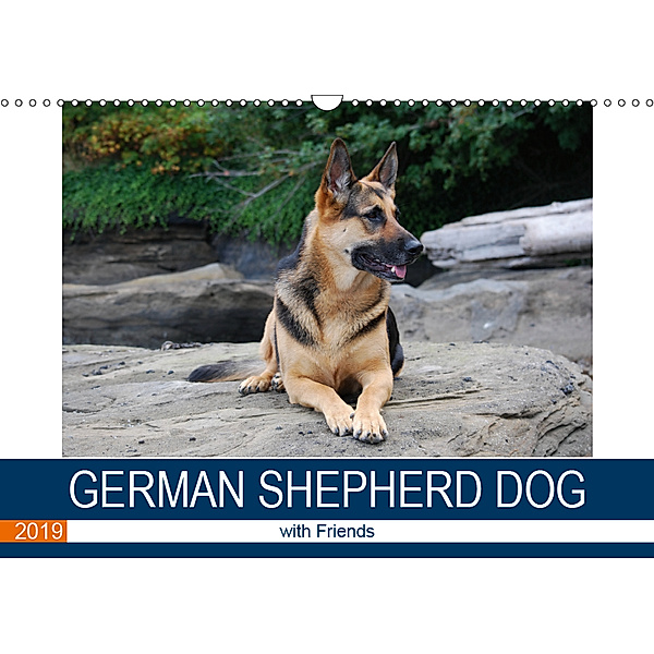 German Shepherd Dog with Friends (Wall Calendar 2019 DIN A3 Landscape), S. N. Little
