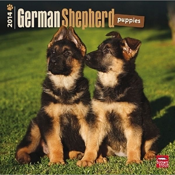 German Shepherd Puppies, Broschürenkalender 2014
