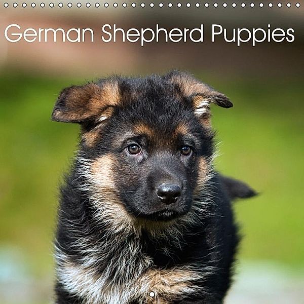 German Shepherd Puppies (Wall Calendar 2018 300 × 300 mm Square), Petra Schiller