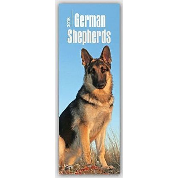 German Shepherds 2018, BrownTrout Publisher