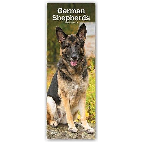 German Shepherds 2020, BrownTrout Publishers