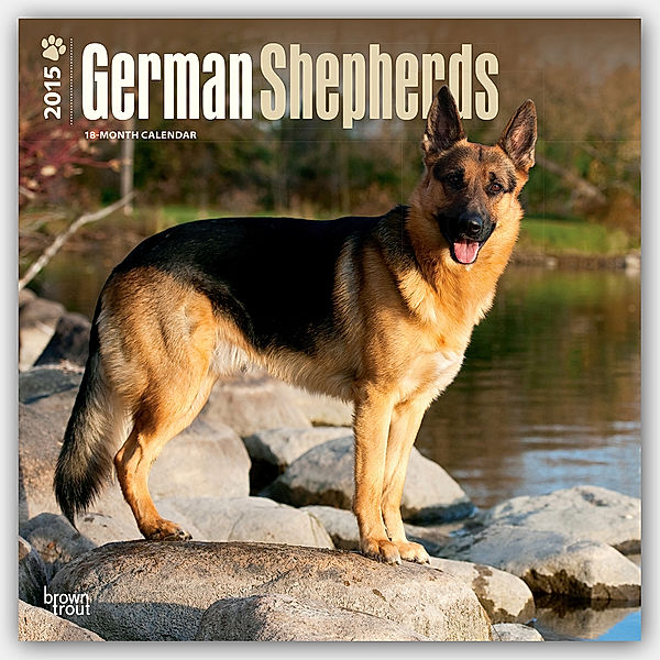German Shepherds, Broschürenkalender 2015