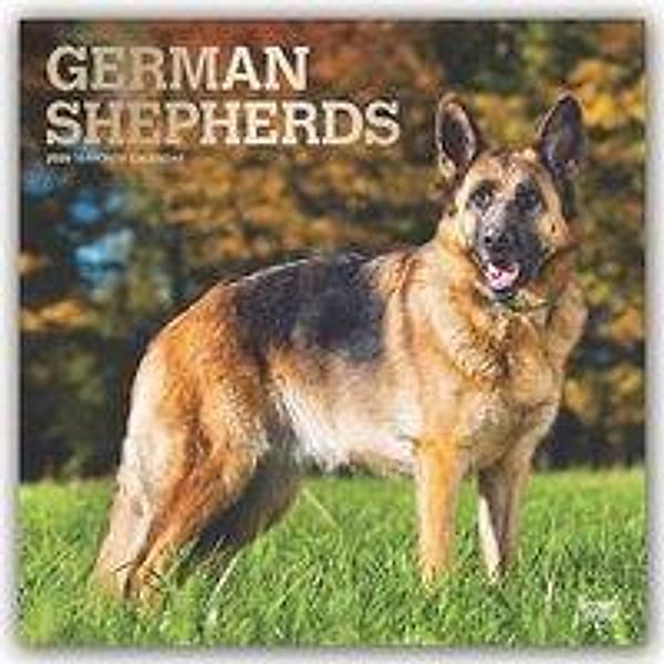 German Shepherds - Deutsche Schäferhunde 2020, BrownTrout Publisher