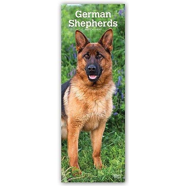 German Shepherds - Deutsche Schäferhunde 2021, BrownTrout Publishers