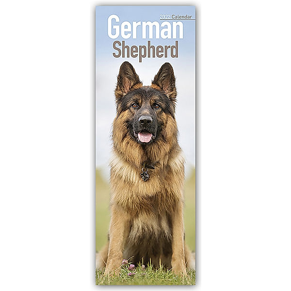German Shepherds - Deutsche Schäferhunde 2022, Avonside Publishing