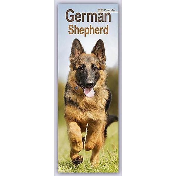 German Shepherds - Deutsche Schäferhunde 2023