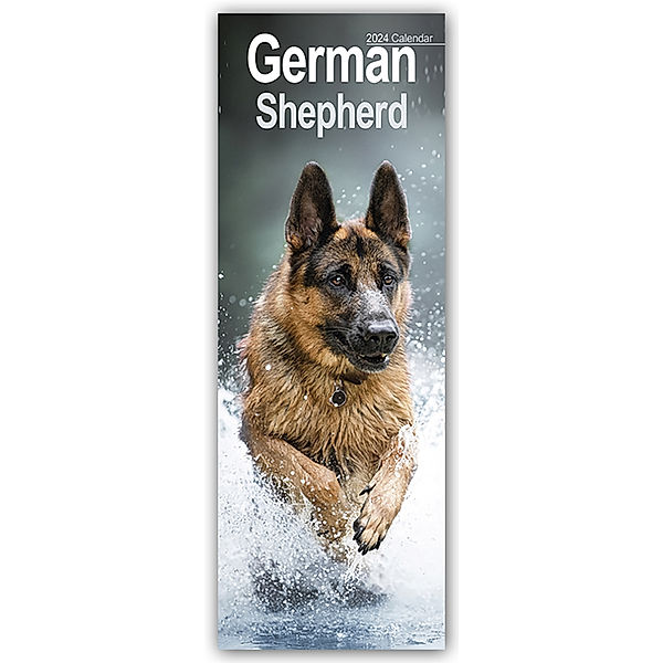 German Shepherds - Deutsche Schäferhunde 2024, Avonside Publishing