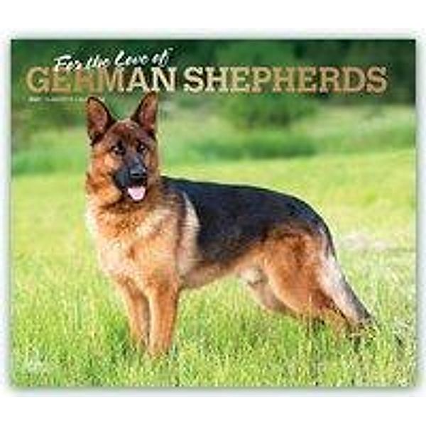 German Shepherds - For the love of - Deutsche Schäferhunde 2021 - 16-Monatskalender mit freier DogDays-App, German Shepherds - For the love of 2021