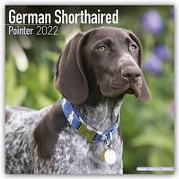 German Shorthaired Pointer - Deutsch Kurzhaar 2022 - 16-Monatskalender, Avonside Publishing Ltd