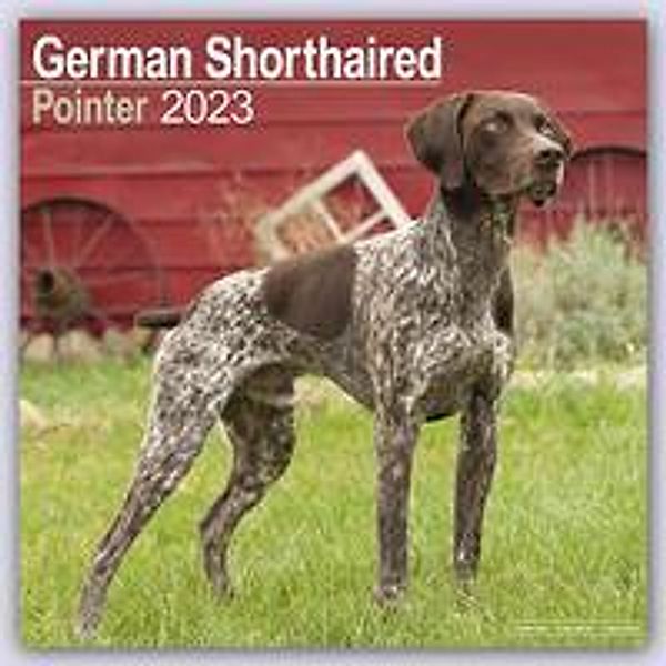 German Shorthaired Pointer - Deutsch Kurzhaar 2023 - 16-Monatskalender, Avonside Publishing Ltd