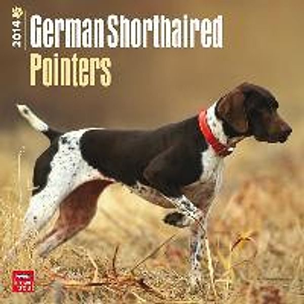 German Shorthaired Pointers 2014 - Deutsch Kurzhaar