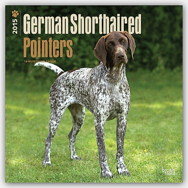 German Shorthaired Pointers 2015 - Deutsch Kurzhaar