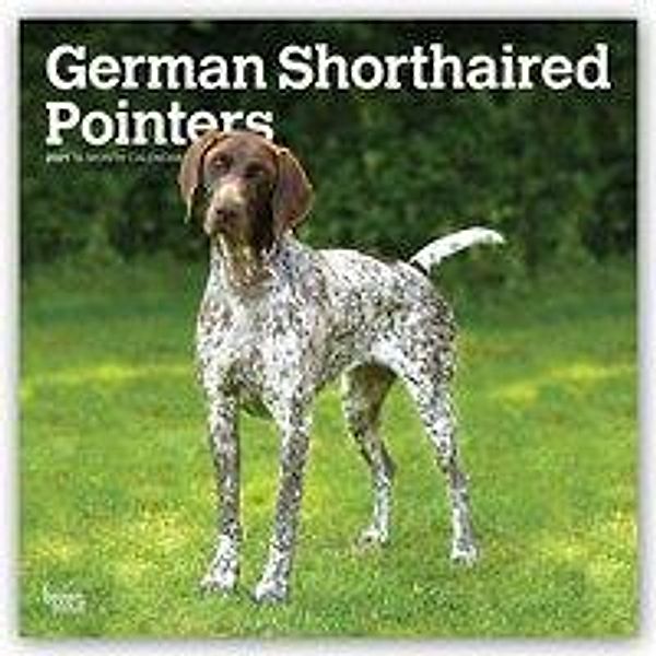 German Shorthaired Pointers International - Deutsch Kurzhaar 2021 - 16-Monatskalender mit freier DogDays-App, BrownTrout Publisher