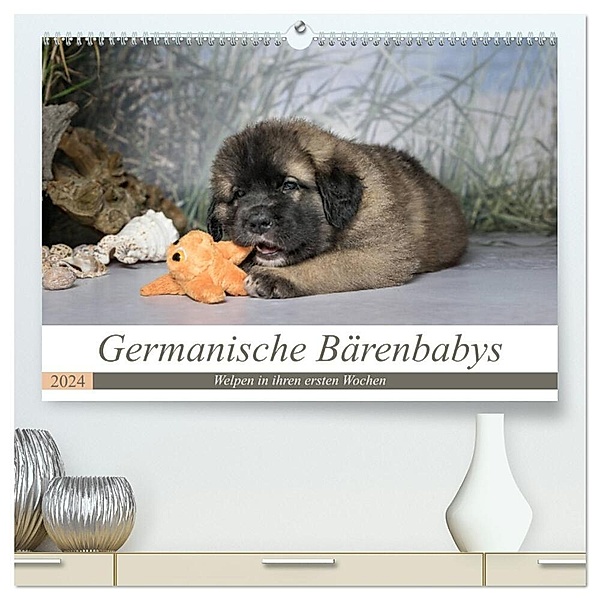 Germanische Bärenbabys (hochwertiger Premium Wandkalender 2024 DIN A2 quer), Kunstdruck in Hochglanz, Sonja Teßen