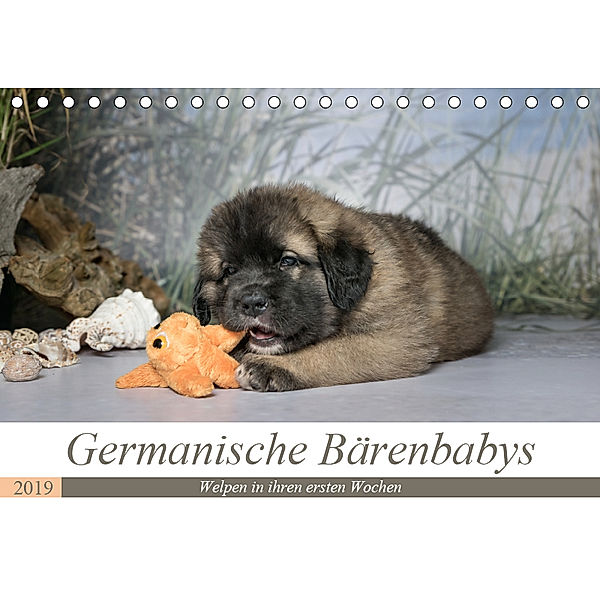 Germanische Bärenbabys (Tischkalender 2019 DIN A5 quer), Sonja Teßen