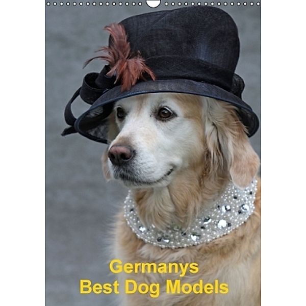 Germanys Best Dog Models - gestylte Labrador und Golden Retriever (Wandkalender 2016 DIN A3 hoch), Gabriele Voigt-Papke