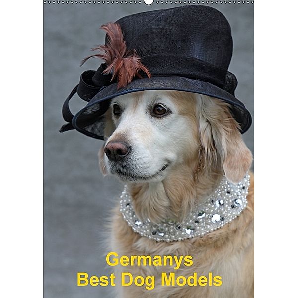 Germanys Best Dog Models - gestylte Labrador und Golden Retriever (Wandkalender 2018 DIN A2 hoch), Gabriele Voigt-Papke