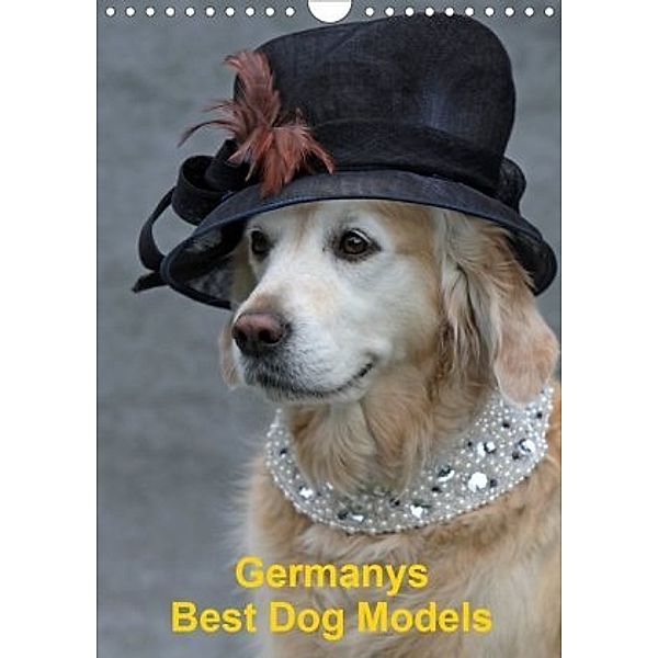 Germanys Best Dog Models - gestylte Labrador und Golden Retriever (Wandkalender 2020 DIN A4 hoch), Gabriele Voigt-Papke