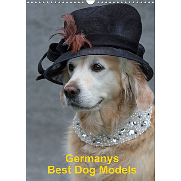 Germanys Best Dog Models - gestylte Labrador und Golden Retriever (Wandkalender 2022 DIN A3 hoch), Gabriele Voigt-Papke