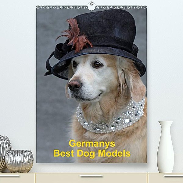 Germanys Best Dog Models - gestylte Labrador und Golden Retriever (Premium, hochwertiger DIN A2 Wandkalender 2023, Kunst, Gabriele Voigt-Papke