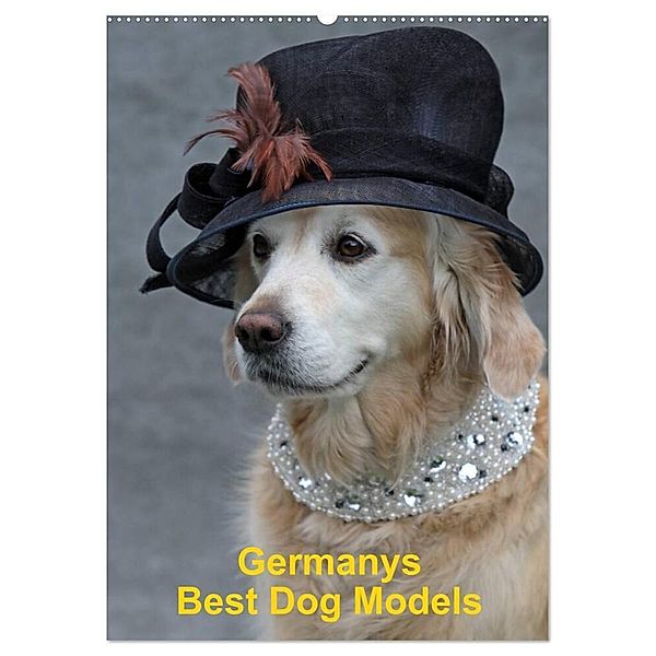 Germanys Best Dog Models - gestylte Labrador und Golden Retriever (Wandkalender 2024 DIN A2 hoch), CALVENDO Monatskalender, Gabriele Voigt-Papke