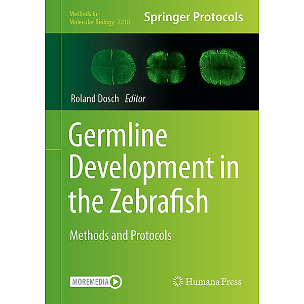 Germline Development in the Zebrafish