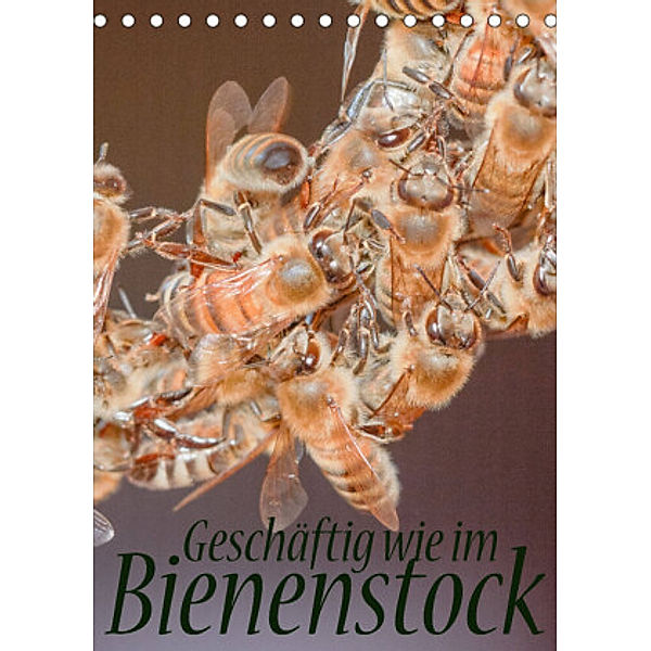 Geschäftig wie im Bienenstock (Tischkalender 2022 DIN A5 hoch), Mark Bangert