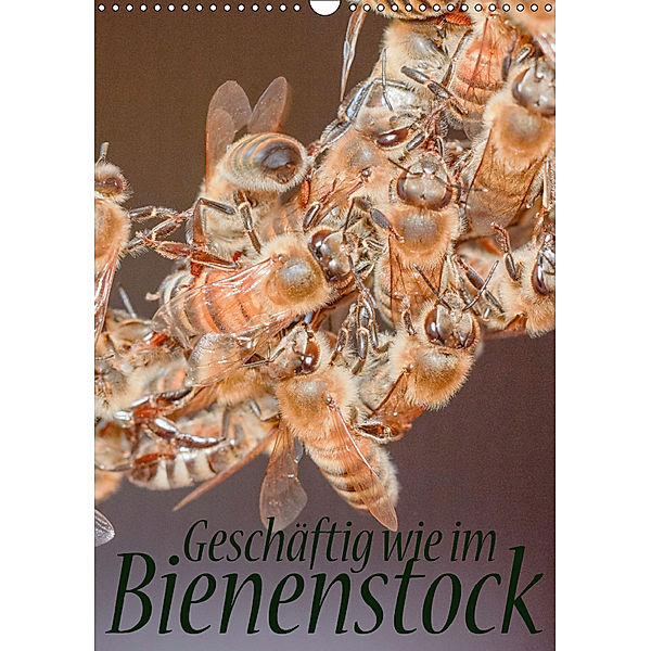 Geschäftig wie im Bienenstock (Wandkalender 2018 DIN A3 hoch), Mark Bangert