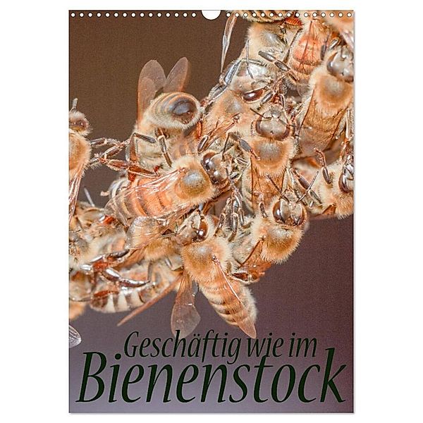 Geschäftig wie im Bienenstock (Wandkalender 2024 DIN A3 hoch), CALVENDO Monatskalender, Mark Bangert