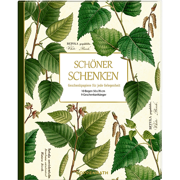 Geschenkpapier-Buch - Schöner schenken (Sammlung Augustina)