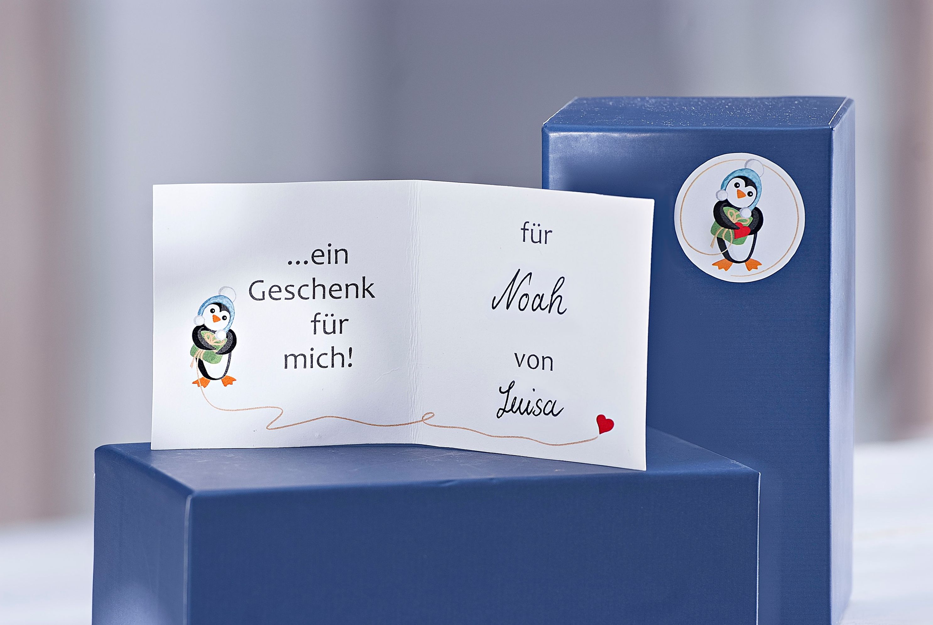 Geschenkset Pinguin Theo Filz jetzt bei  bestellen