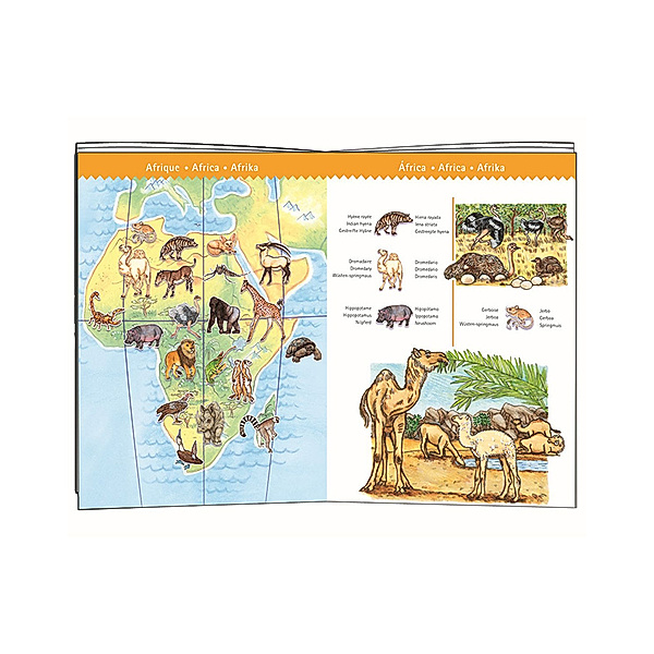 Djeco Geschichtenpuzzle WORLD'S ANIMALS mit Broschüre 100-teilig