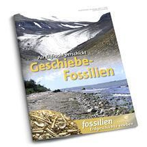 Geschiebe-Fossilien, Jens Lehmann