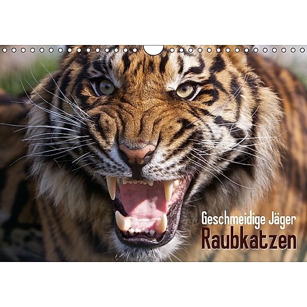 Geschmeidige Jäger: Raubkatzen (Wandkalender 2014 DIN A4 quer), Calvendo