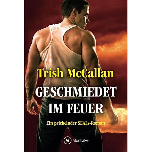 Geschmiedet im Feuer / Red-Hot-SEALs Bd.1, Trish McCallan