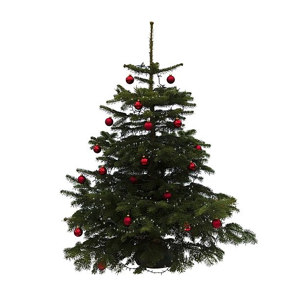Geschmückter Weihnachtsbaum, Nordmanntanne 150cm Christbaumständer, rot inkl