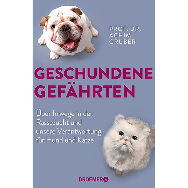 Geschundene Gefährten, Achim Gruber