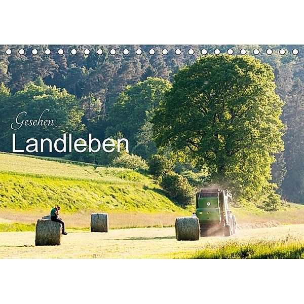 Gesehen - Landleben (Tischkalender 2017 DIN A5 quer), Karl-Günter Balzer