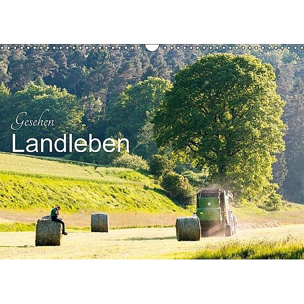 Gesehen - Landleben (Wandkalender 2017 DIN A3 quer), Karl-Günter Balzer