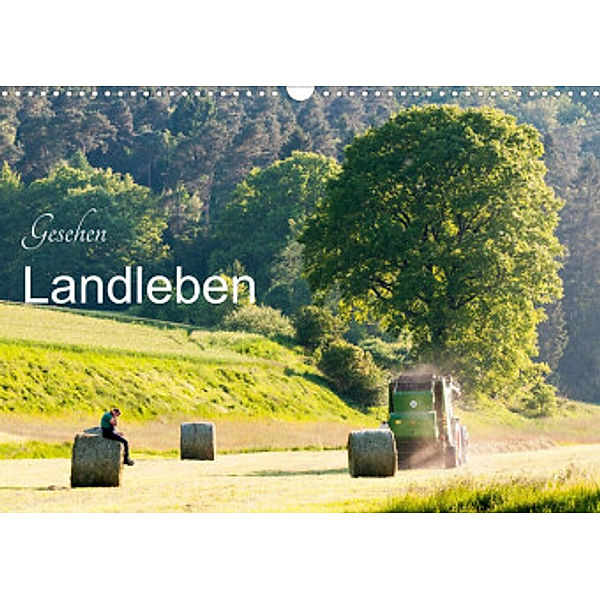 Gesehen - Landleben (Wandkalender 2022 DIN A3 quer), Karl-Günter Balzer