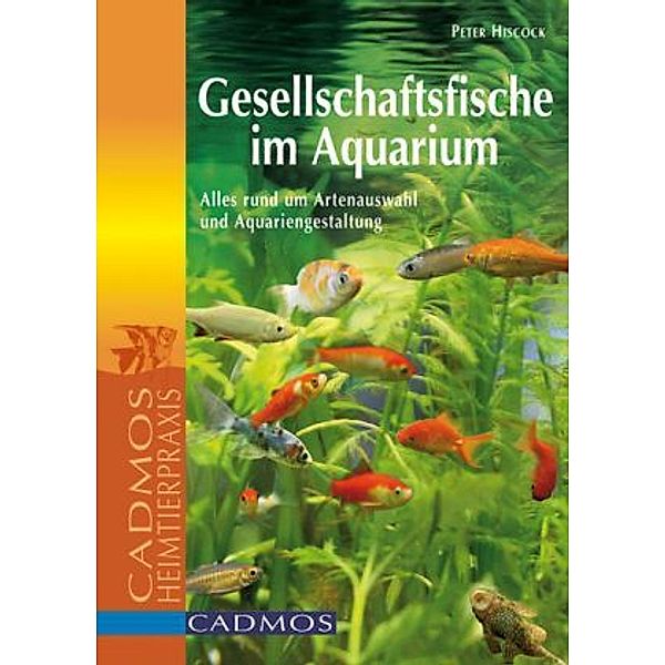 Gesellschaftsfische im Aquarium, Peter Hiscock