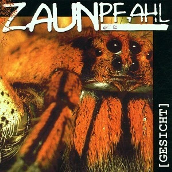 Gesicht (Vinyl), Zaunpfahl