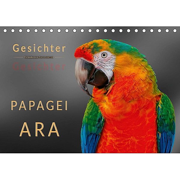 Gesichter - Papagei Ara (Tischkalender 2021 DIN A5 quer), Peter Roder