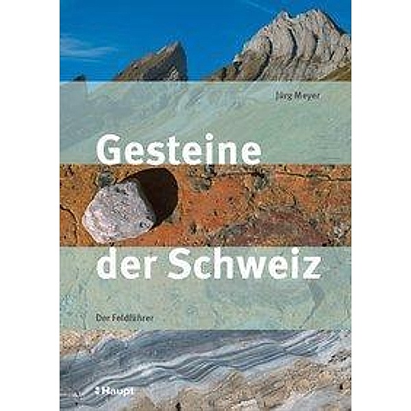 Gesteine der Schweiz, Jürg Meyer