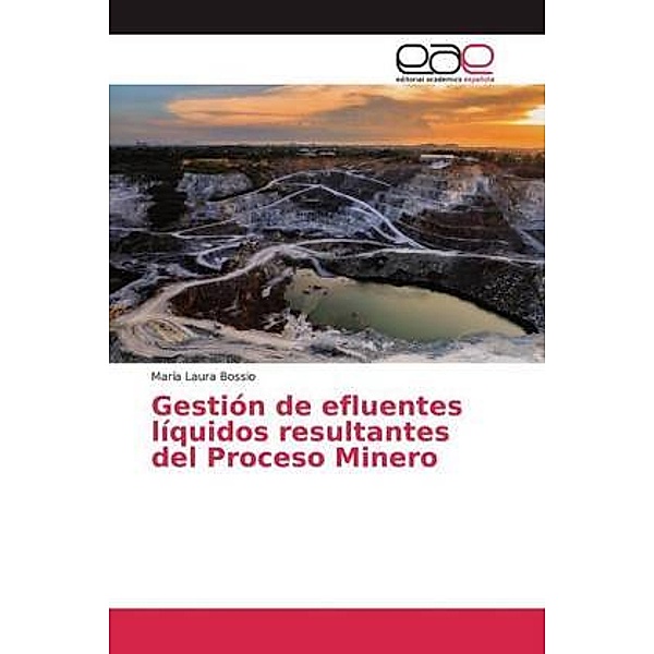 Gestión de efluentes líquidos resultantes del Proceso Minero, María Laura Bossio
