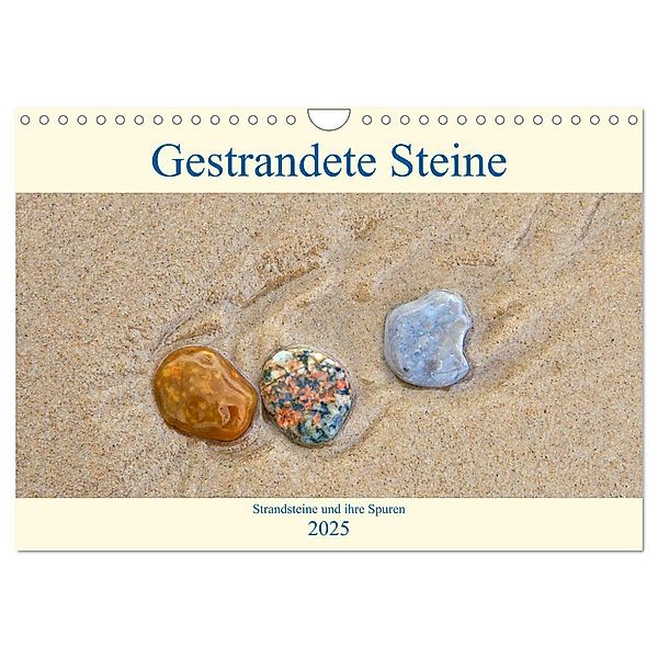Gestrandete Steine (Wandkalender 2025 DIN A4 quer), CALVENDO Monatskalender, Calvendo, Clemens Stenner