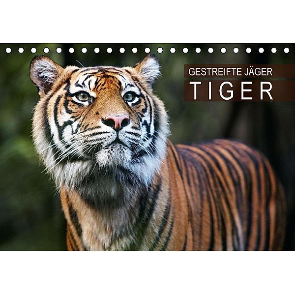 Gestreifte Jäger - Tiger (Tischkalender 2014 DIN A5 quer)