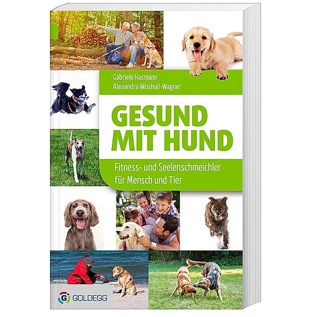 Gesund mit Hund Buch jetzt bei Weltbild.ch online bestellen